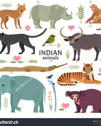 Animals India